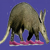 Aardvark Pedometer icon