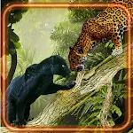Cover Image of Download Panthers and Jaguars  APK