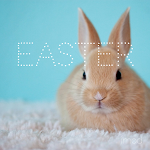 Easter Wallpapers And Backgrounds Apk