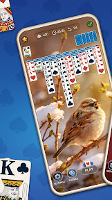 Daily Spider Solitaire Classic screenshot