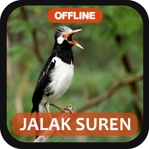 Masteran Jalak Suren Gacor logo