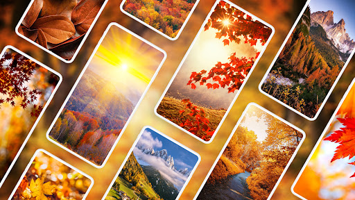 Screenshot of Autumn Wallpapers 4K