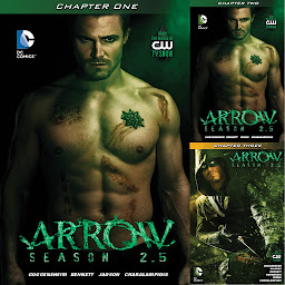 Obraz ikony: Arrow: Season 2.5 (2014)