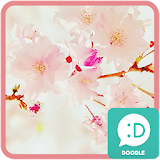 cherry blossom 카카오톡 테마 icon