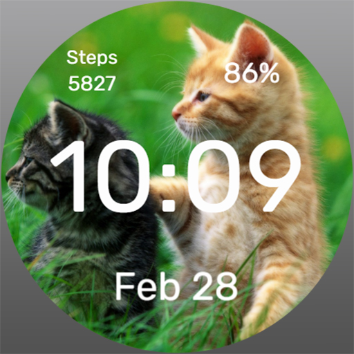 Kittens - Watch Face Download on Windows