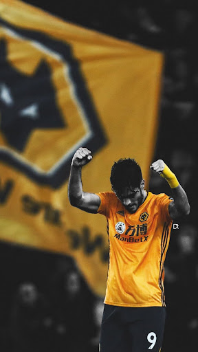 Wolves F.C Wallpaers