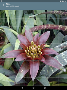 Captura 22 Rompecabezas: Flores android