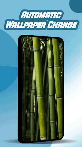 Apus Bamboo Wallpaper