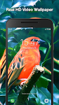 screenshot of Birds Live Wallpaper