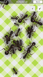No More Ants (free) - squash