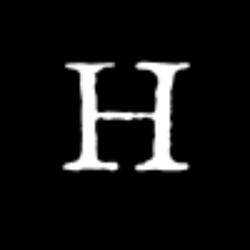Haizum logo