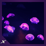 Funky Jelly Fish Aquarium icon