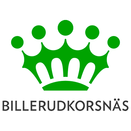BILLERUDKORSNÄS  Icon