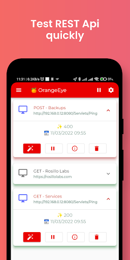 OrangeEye Monitor & API Tester Screen 3