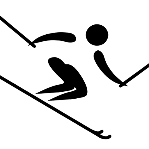 Ski Master logo