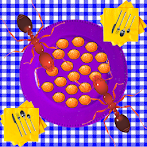 Ants
