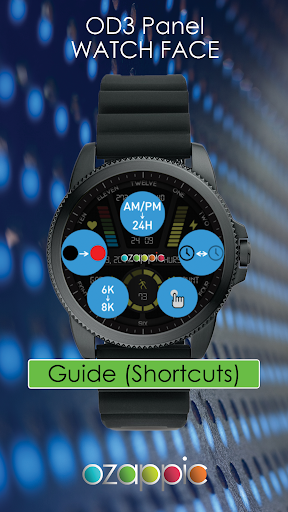 OD3 Panel Watch Face Screen 3