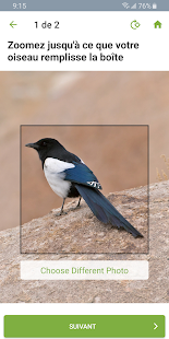Merlin Bird ID par Cornell Lab Capture d'écran