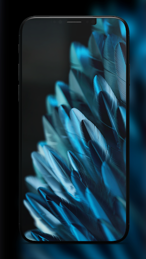 Wallpapers for Find N2 Flip