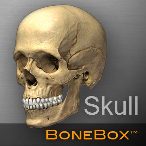BoneBox™ - Skull Viewer  Icon