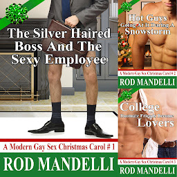 Obraz ikony: A Modern Gay Sex Christmas Carol