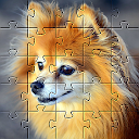 Pomeranians dog jigsaw puzzle APK