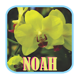NOAH - Andaikan Kau Datang Mp3 icon