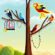 Bird Sort: Sorting Bird Games - Androidアプリ