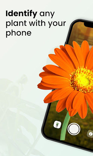 Android application Plant Identifire screenshort
