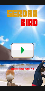Serdar Bird 4.2 screenshots 9