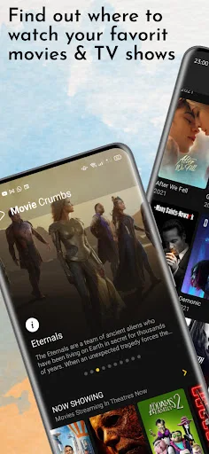 MediaFlix Pro V2 - Screenshot 1