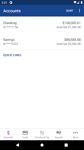 Acme Continental Credit Union Screen 2