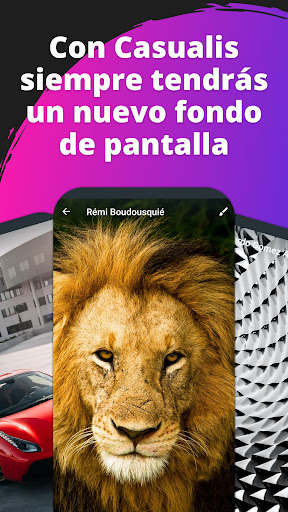 Vista previa de la aplicación