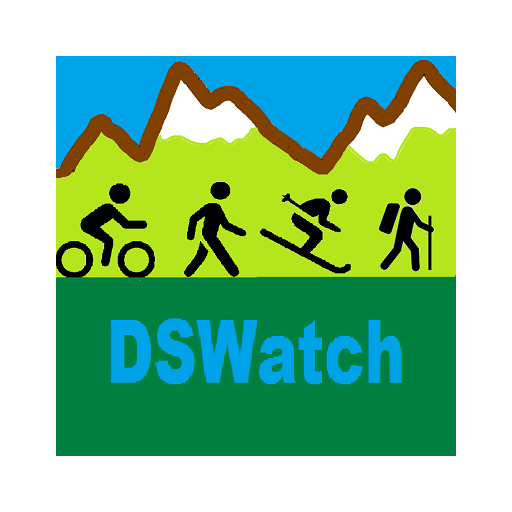 DSWatch multi-sport Companion logo