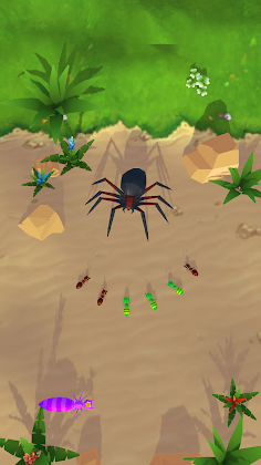 Zoo Ant Spread - Screenshot 2