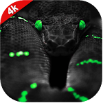 Cover Image of डाउनलोड 4k Black Wallpapers & HD Dark  APK