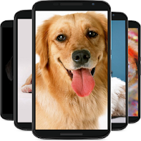 犬の壁紙 高画質のおすすめアプリ Android Applion