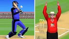 screenshot of Smashing Cricket: cricket game