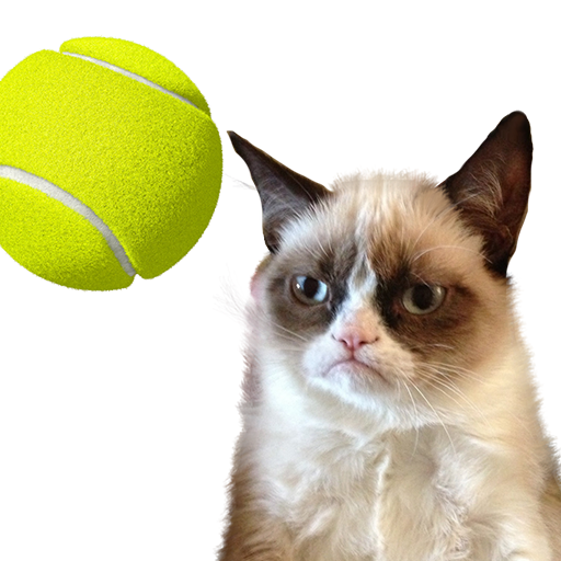 Cat Tennis: Battle Meme  Icon