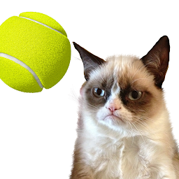 Icon image Cat Tennis: Battle Meme