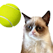 Cat Tennis: Battle Meme