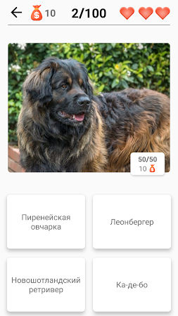 Game screenshot Породы собак – Фото-тест hack