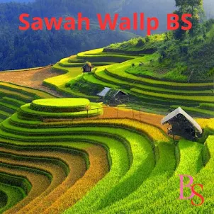 Sawah Wallp BS