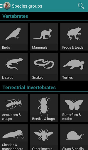Field Guide to ACT Fauna Screen 2