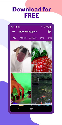 Video Wallpapers Screen 2
