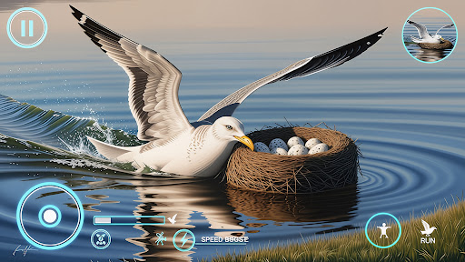 Seagull Bird Simulator