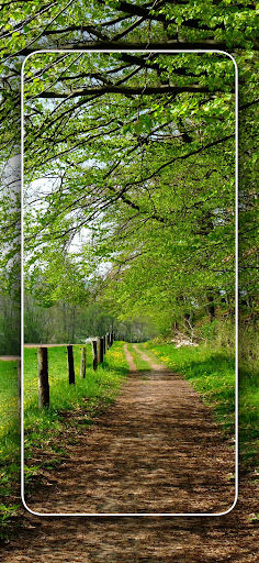 Screenshot of Cool Nature Wallpapers 4K | HD