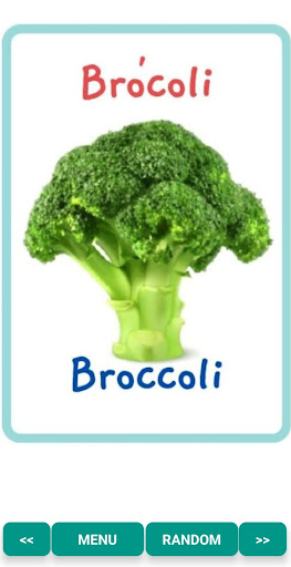 Flashcards for Kids Bilingual Screen 2
