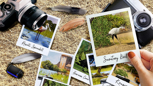 Android application The Birders screenshort