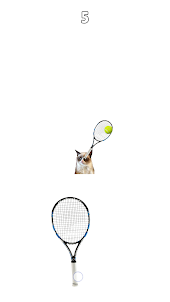 Cat Tennis Game